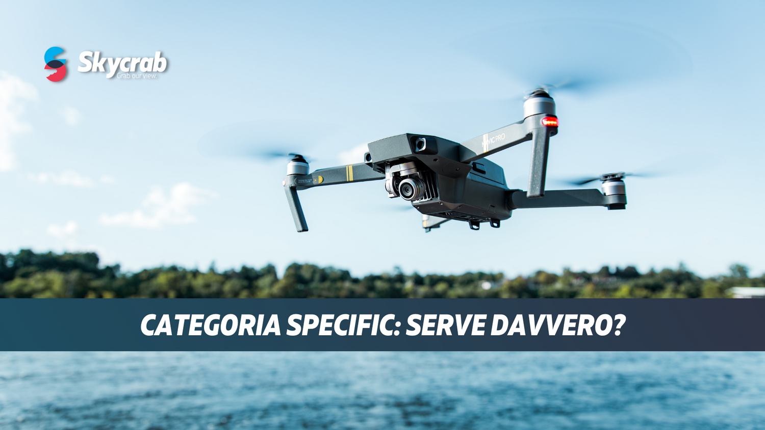 Categoria Specific: serve davvero?