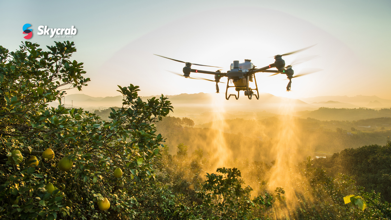 Droni in agricoltura: via libera alla sperimentazione per l’irrorazione aerea con UAS