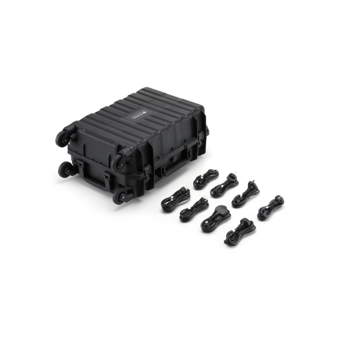 BS100 Intelligent Battery Station