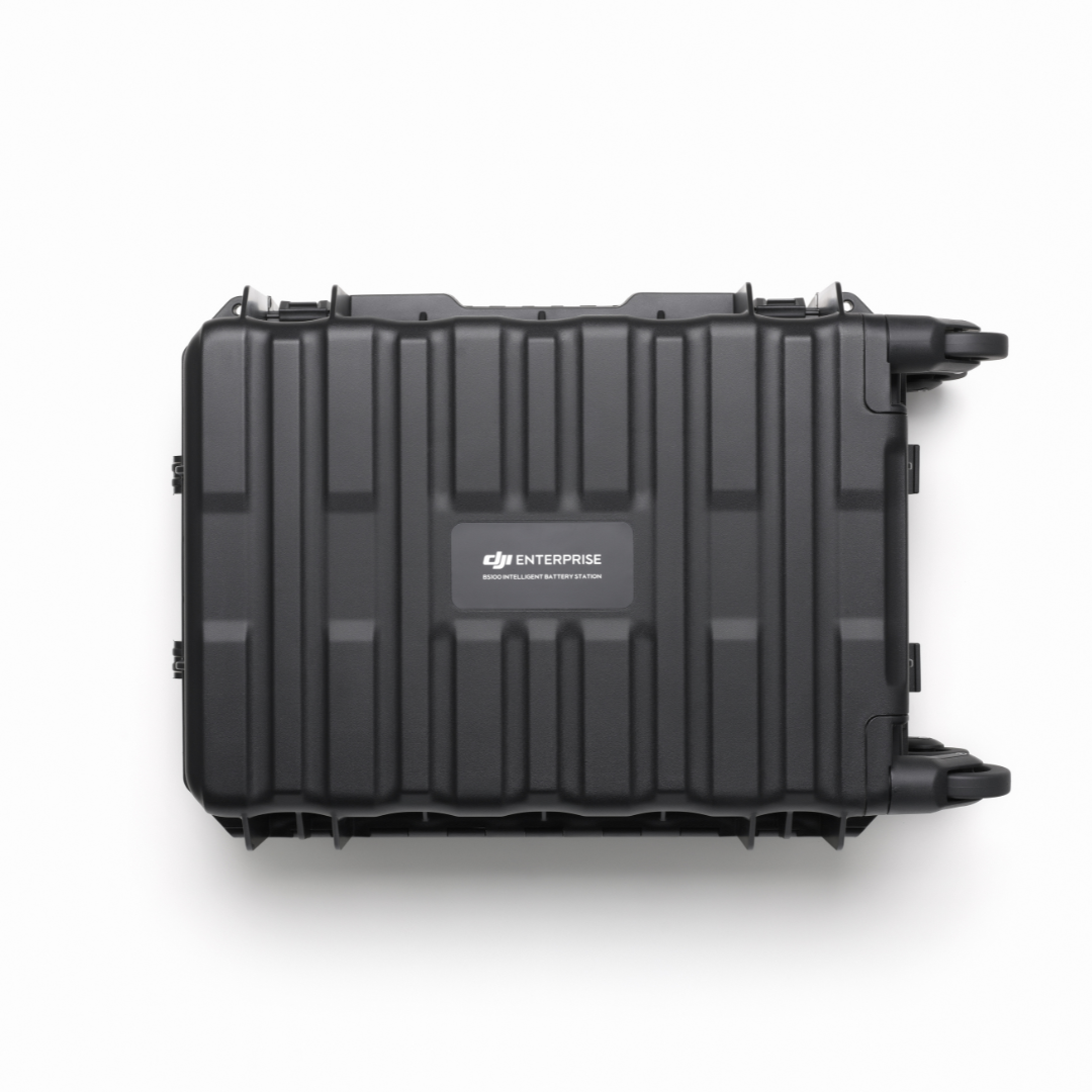 BS100 Intelligent Battery Station