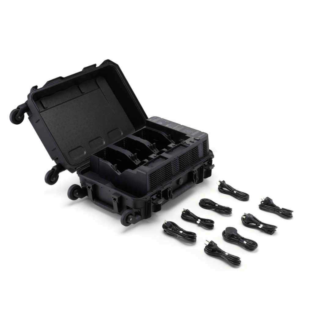BS100 Intelligent Battery Station