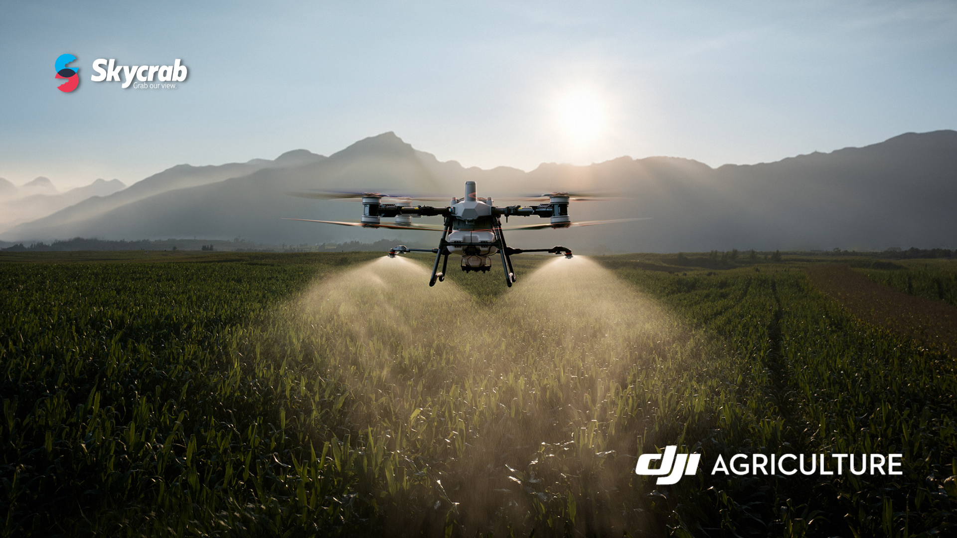 Guida alla Legalità nell'Agricoltura 4.0: Come operare con DJI Agras T25, T50 e T100